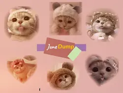 june dump