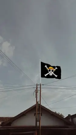 One Piece Flag