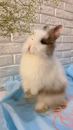 Frohe Ostern
