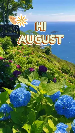 hi august