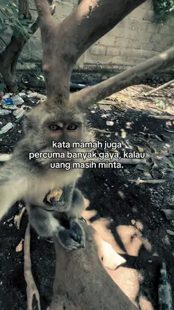 kata kata 