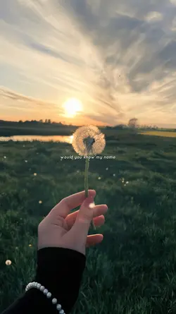 lyric