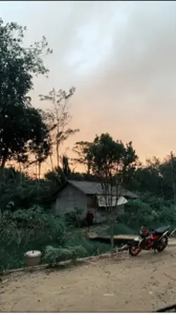 Pamandarimana