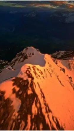 New