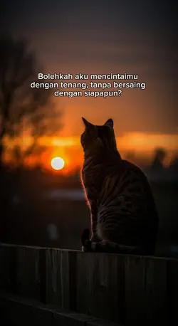 Story WA