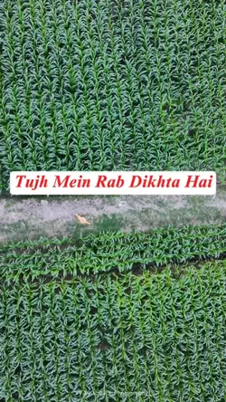 Tujh Mein Rab Dikhta