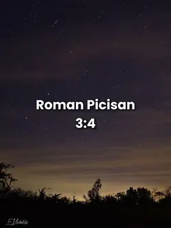 Roman Picisan 3:4