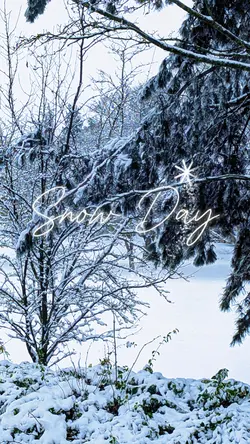 Snow Day
