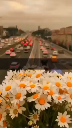 nfak