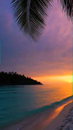 6 video or photo