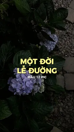 [12]MỘT ĐỜI LỄ ĐƯỜNG