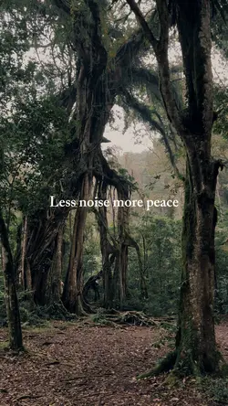 Less noise mor peace