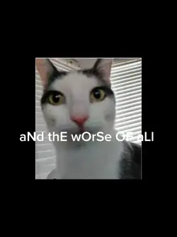 u BeTEr NoT MEsS 