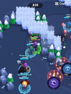 Shelly