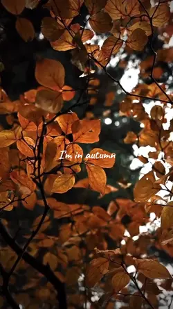 i'm in autumn