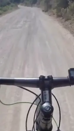 Stabilizer