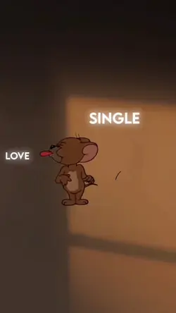 singlelife 