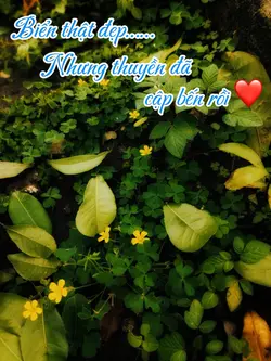 Biển thật đẹp 