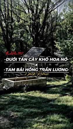 DTCKHNxTBHTL REMIX 
