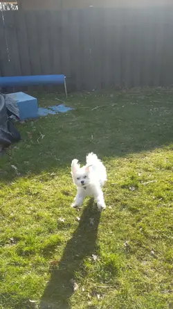 slowmo