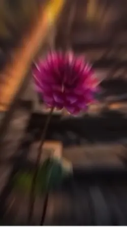 Simple 5 video clips