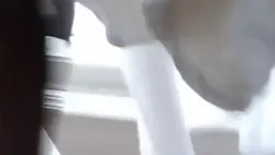 チリ・ボソ