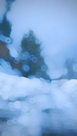 New trend ❄️🌨️