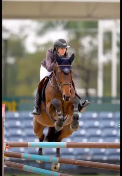 Ralenti équitation 