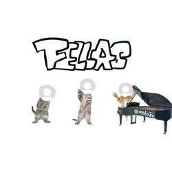 ALL MY FELLAS