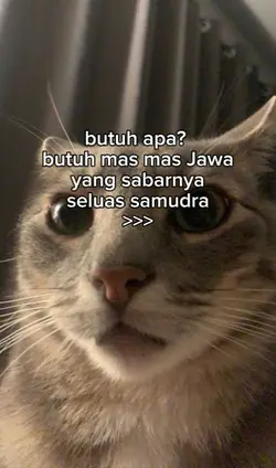 mas mas jawa