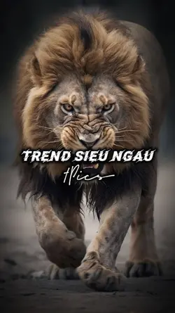 Trend Ngầu Vcd 1Pics