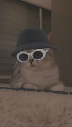 kata kata 