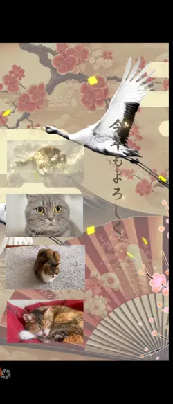 CapCut年賀状あけましておめでとう