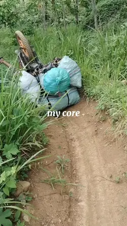 mycore 