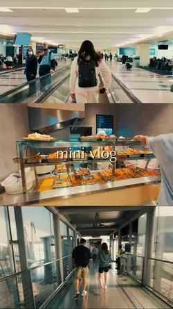 mini vlog