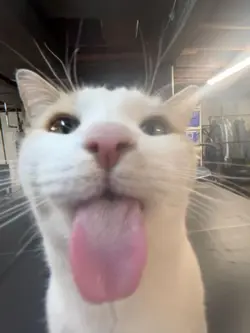 ,