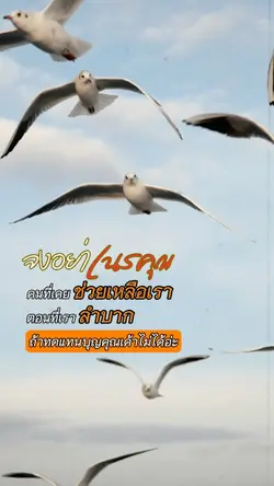 จงอย่าเนรคุณคน