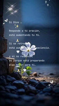 Vida