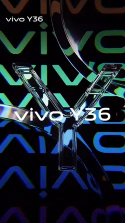 VivoConceptSMMolino
