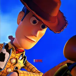 BEST COWBOY