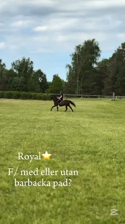 Snabb royal idag