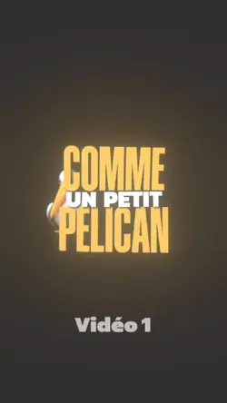 Pélican - L2b