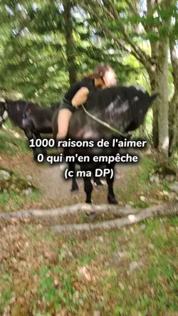 1000 raisons