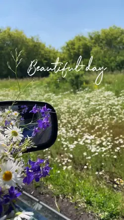 Beautiful day
