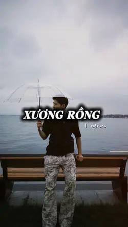 Xương rồng