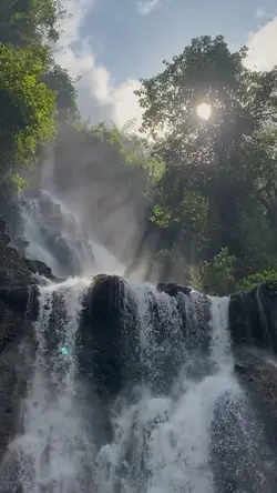NATURE TRIP