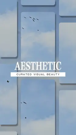 Aesthetic & Vibes