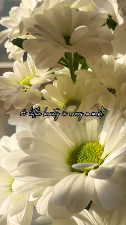  Blooming Moments 