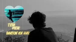 TERI MERI BAATON