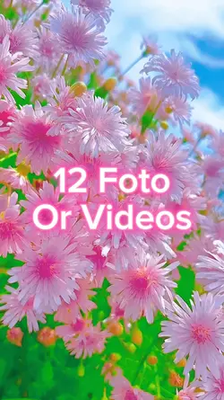 12 Foto Slide